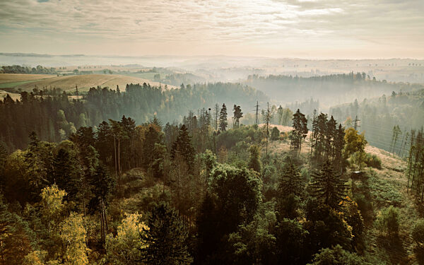 Aerial view of autumn countryside, traditional fall landscape in centra Europe