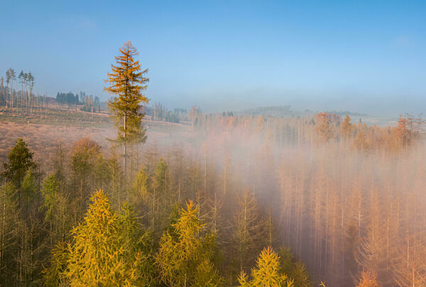 Aerial view of autumn countryside, traditional fall landscape in centra Europe