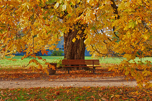 Landschaftspark Degnershausen im Herbst Selketal