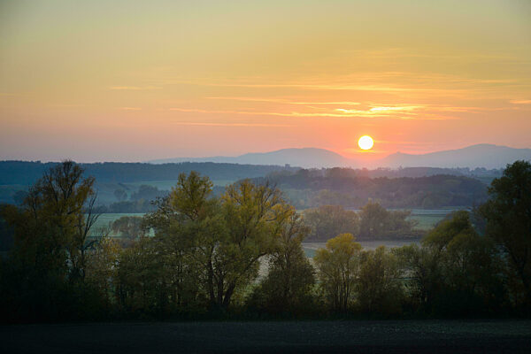 Autumnal Park. Autumn Trees and Leaves. Fall