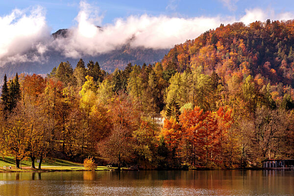 Lake Bled, Slovenia sunset view autumn trees