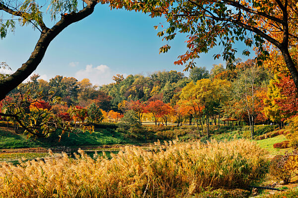 Autumn of West Seoul Lake Park in Seoul, Korea
