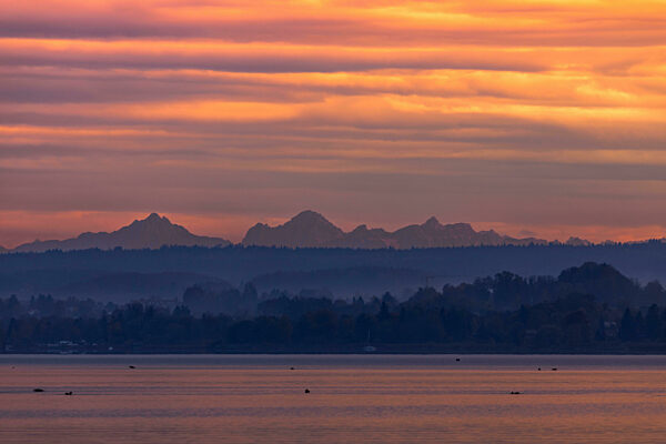 Blick auf die Alpen vom Ammersee in Bayern bei Sonnenuntergang