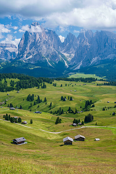 Langkofel seen from Seiser Alm