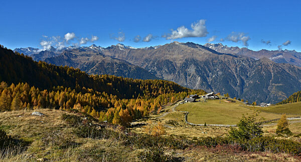 Südtirol bei Meran,  Blick vom Hirzergebiet zum Naturpark Texelgruppe, view from the Hirzer area to the Texel Group Nature Park,