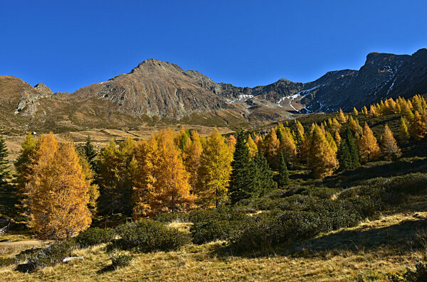 Südtirol bei Meran,  Blick zum Hirzer, Sarntaler Alpen, South Tyrol, Italy, view to the mountain Hirzer in the sarntaler alps