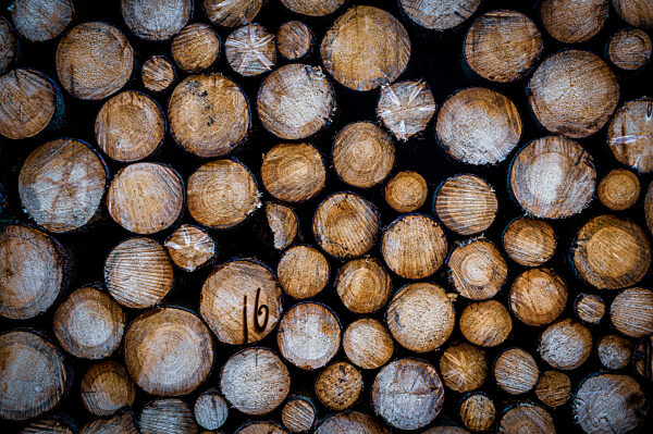Forstwirtschaft, Rohstoff Holz oder Holzhandel