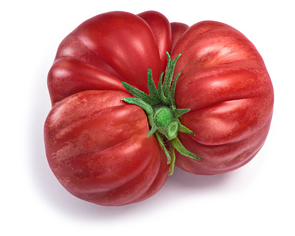 Pink ribbed tomato, paths, top view
