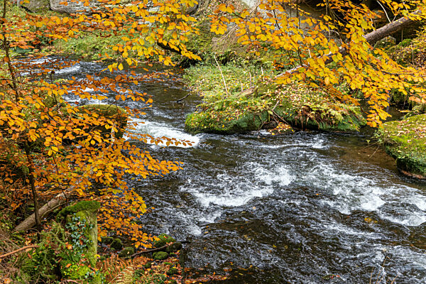 Edmundsklamm Elbsandsteingebirge böhmische Schweiz