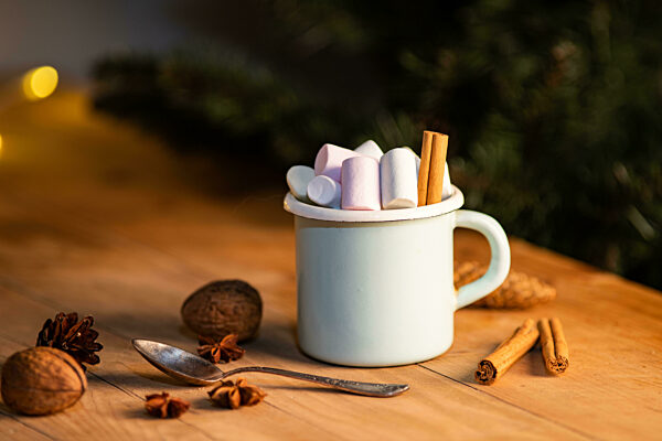 cup of hot chocolate with marshmallows cinnamon sticks cones and branches of spruce. the concept of cozy Christmas and New Year holidays