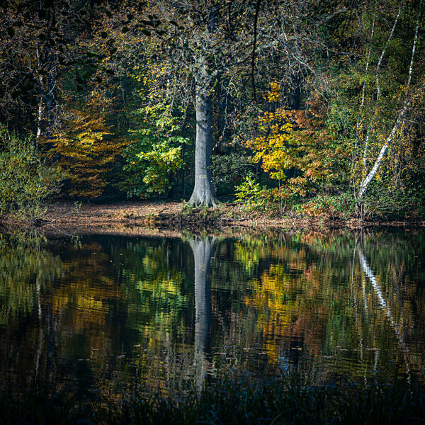 An autumn walk in the local recreation area Sechs Seenplatte Duisburg, North Rhine-Westphalia