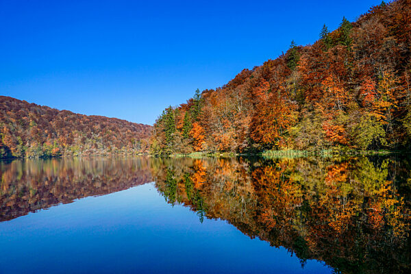 calm blue lake with reflections of hills and forest in intense fall colors