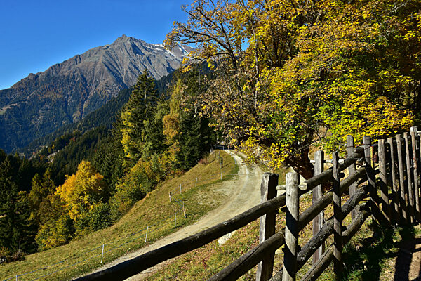 Herbst in Südtirol, Blick zur Texelgruppe bei Meran, Italien