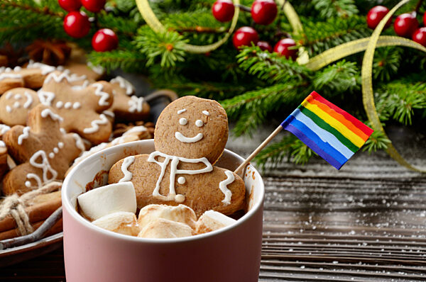 Pink mug with hot chocolate marshmallows and gingerbread man with rainbow flag on background of spruce branch and tray with cookies