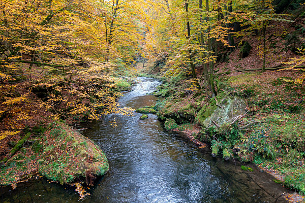 Edmundsklamm Elbsandsteingebirge böhmische Schweiz
