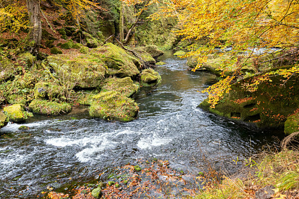 Edmundsklamm Elbsandsteingebirge böhmische Schweiz
