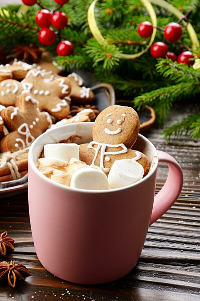 Pink mug with hot chocolate marshmallows and gingerbread man on background of spruce branch and tray with cookies