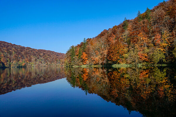 calm blue lake with reflections of hills and forest in intense fall colors