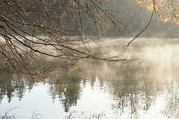 Frühnebel am See