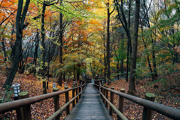 Wolmido island Wolmisan mountain trail at autumn in Incheon, Korea