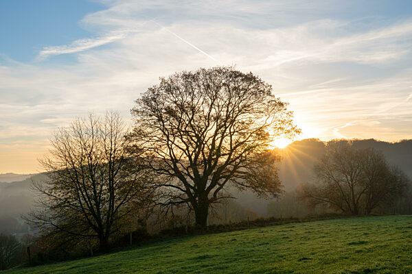 Bergisches Land, Odenthal, Germany