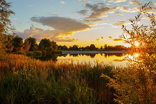 Brandenburg Barnim Kranichsee, Ruhlsdorf / Marienwerder Spätsommerabend Herbstlicht