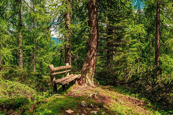 Wooden bench on hiking trails in the Dolomites