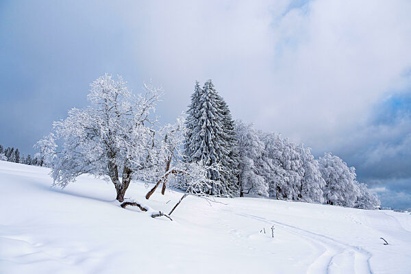 Landschaft im Winter im Thüringer Wald in der Nähe von Schmiedefeld am Rennsteig
