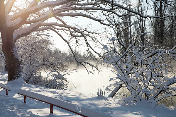 Winter landscape, Krasnodar, Russia