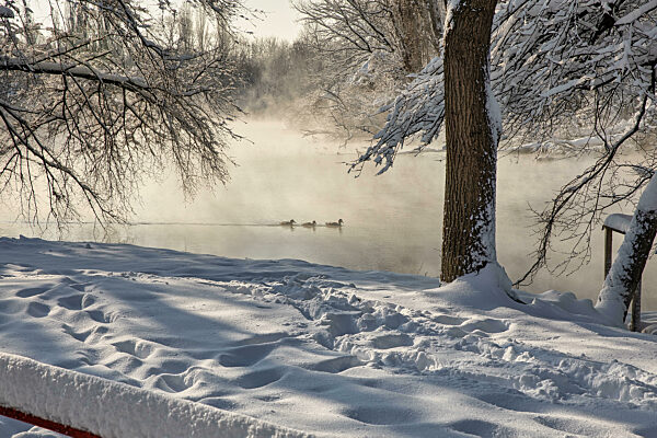 Winter landscape, Krasnodar, Russia