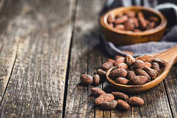 Dried cocoa beans. Cacao beans on wooden spoon.