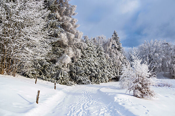 Landschaft im Winter im Thüringer Wald in der Nähe von Schmiedefeld am Rennsteig