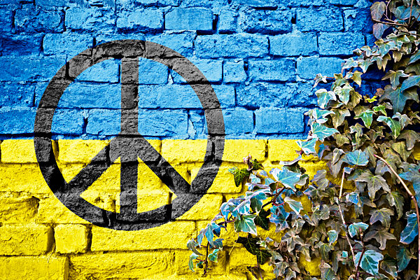 Ukraine grunge flag with peace sign on brick wall with ivy plant