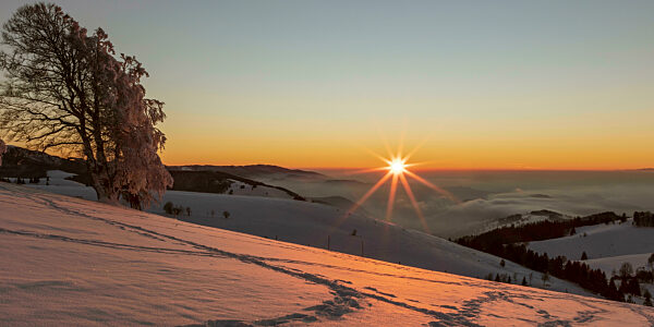 Sonnenuntergang am Schauinsland im Schwarzwald