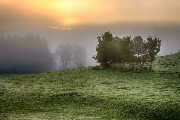 Schöner herbstlicher Sonnenaufgang mit viel Nebel