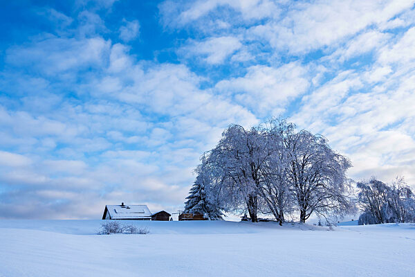 Landschaft im Winter im Thüringer Wald in der Nähe von Schmiedefeld am Rennsteig