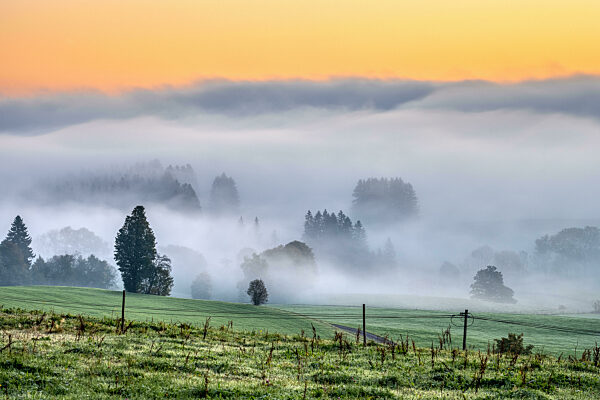 Eine neblige Landschaft vor Sonnenaufgang