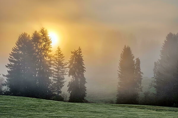 Schöner Herbstsonnenaufgang in einer nebligen Landschaft