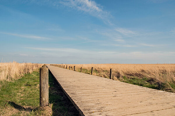 Holzsteg