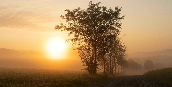 Sonnenaufgang mit Nebel im Elbsandsteingebirge