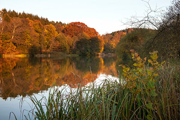 Herbst in der Lausitz- Stausee Sohland/Spree