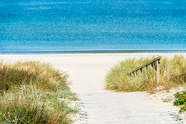 Schmaler Sandweg zum Strand umgeben von Dünengras