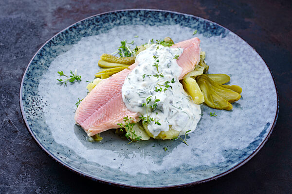 Modern style traditional smoked rainbow trout with boiled potato salad and yoghurt served as close-up on a design plate
