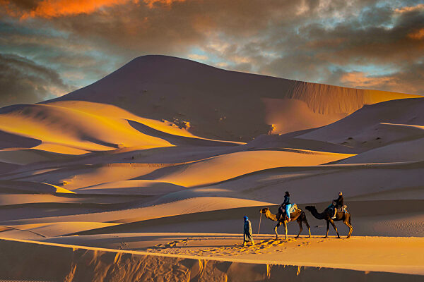 Two Riders And Their Handler Travel Through The Saharan Desert On Their Camels In Morocco