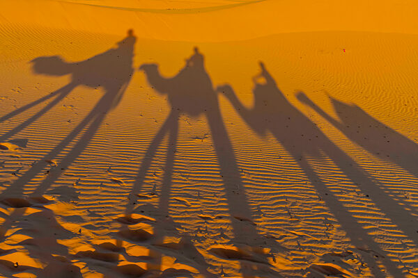 Shadows Of A Group Of Travelers Are Seen In The Sand As They Walk Through The Saharan Desert In Morocco, Africa