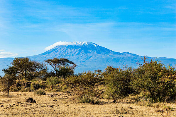 The snow-capped Mount Kilimanjaro