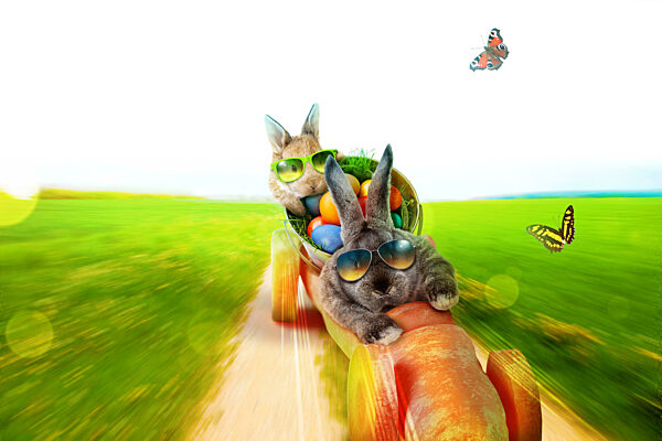 Funny Easter bunny. Happy Easter holiday concept.