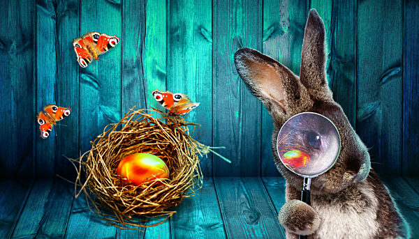 Funny Easter bunny. Happy Easter holiday concept.