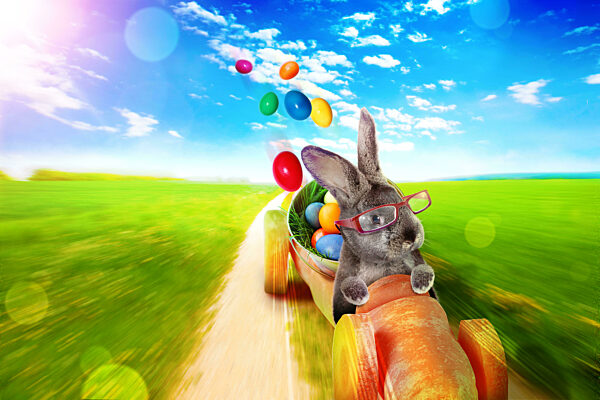 Funny Easter bunny. Happy Easter holiday concept.