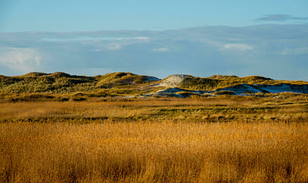 The dunes and Wadden Sea at St Peter Ording Germany